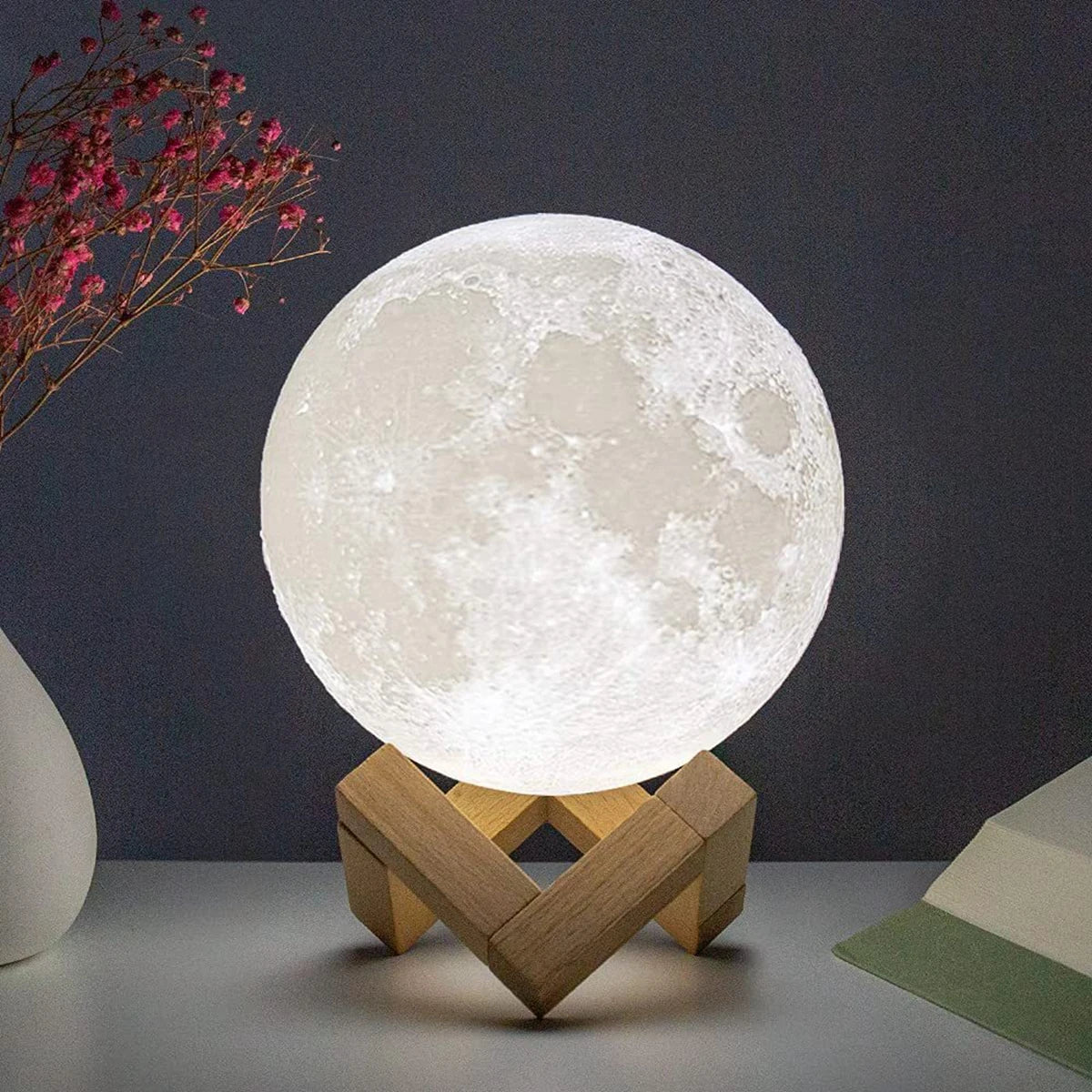 The Modern Moon Lamp with Stand